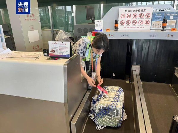 实体配资公司 东航“宠物进客舱”服务拓展至17条航线