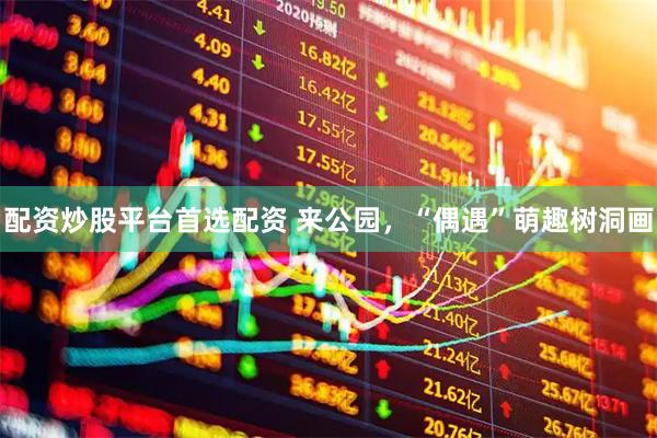 配资炒股平台首选配资 来公园，“偶遇”萌趣树洞画